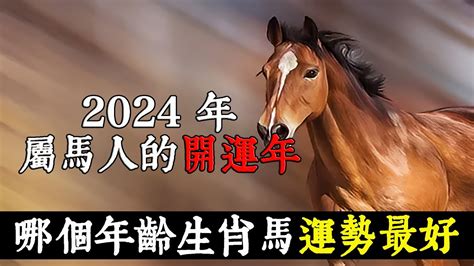 2024屬馬運勢1978|1978年屬馬明年換大運2024 